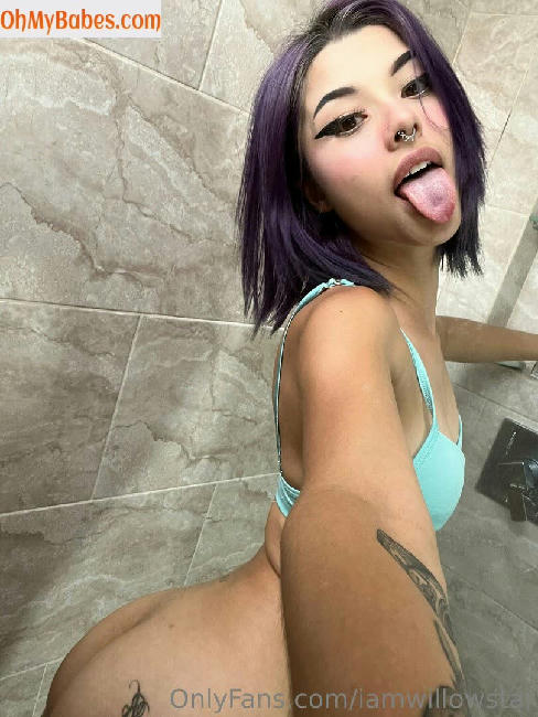 iamwillowstar OnlyFans leaked photo #8 - OhMyBabes