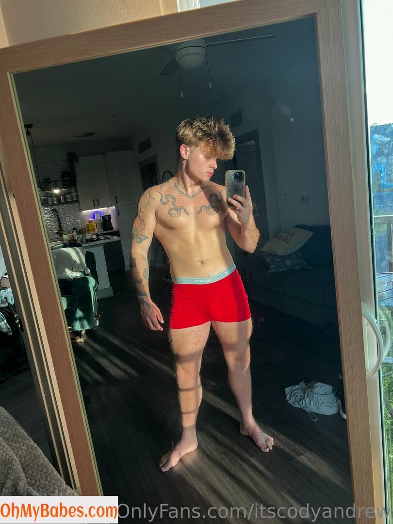 itscodyandrew OnlyFans leaked photo #12 - OhMyBabes