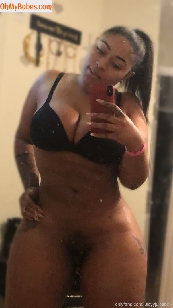 Juicyyjuicebox OnlyFans leaked photo #13 - OhMyBabes