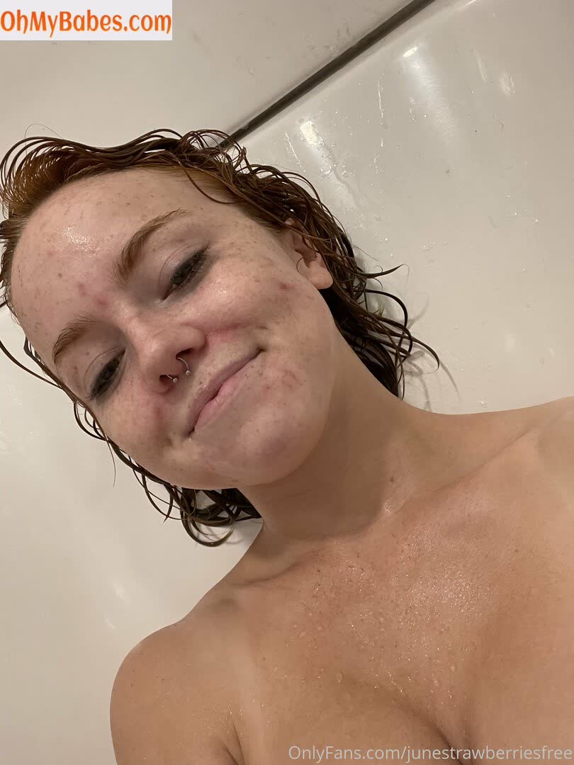 junestrawberriesfree OnlyFans leaked photo #45 - OhMyBabes