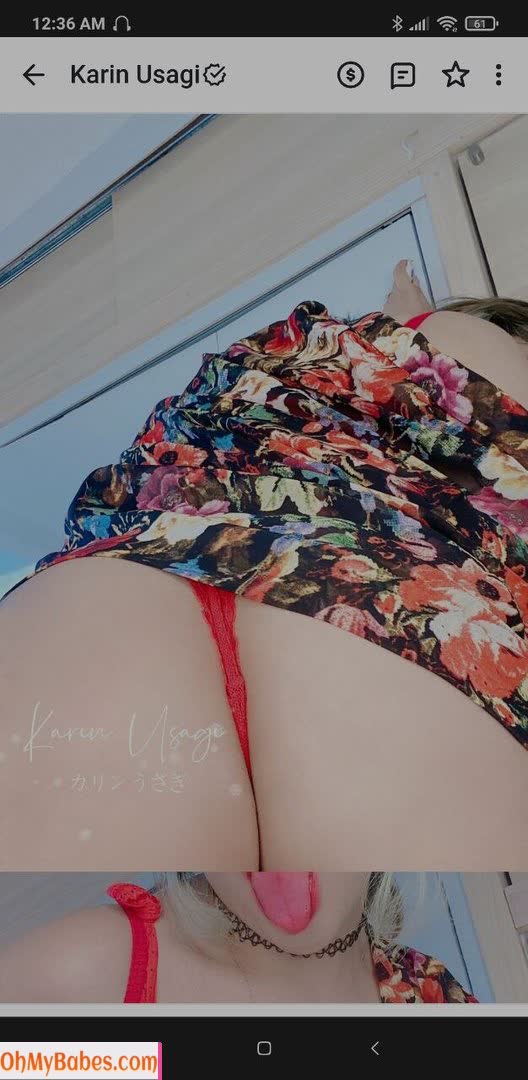 Karin Usagi Nude Leaked photo #12 - OhMyBabes