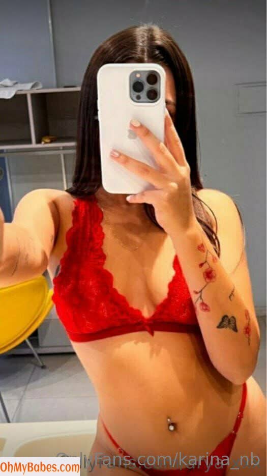 karina_nb OnlyFans leaked photo #52 - OhMyBabes