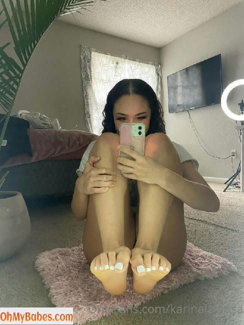 karinaladiosa OnlyFans leaked photo #2 - OhMyBabes