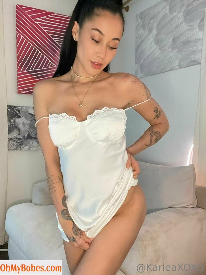 karleaxoxo OnlyFans leaked photo #144 - OhMyBabes