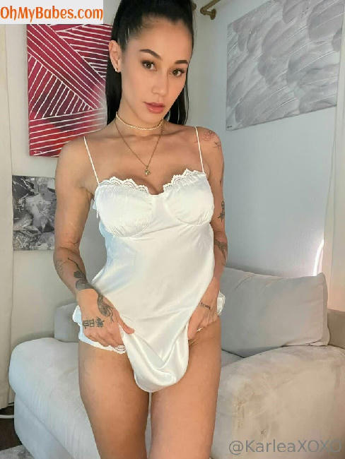 karleaxoxo OnlyFans leaked photo #143 - OhMyBabes