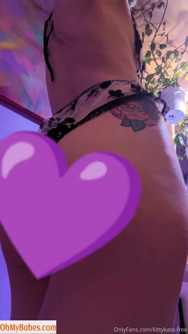 kittykass-free OnlyFans leaked photo #10 - OhMyBabes