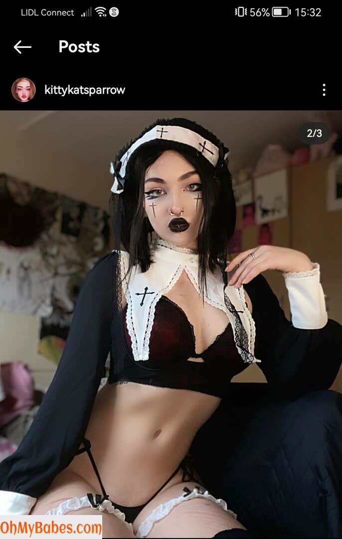 KittyKatSparrow OnlyFans leaked photo #80 - OhMyBabes