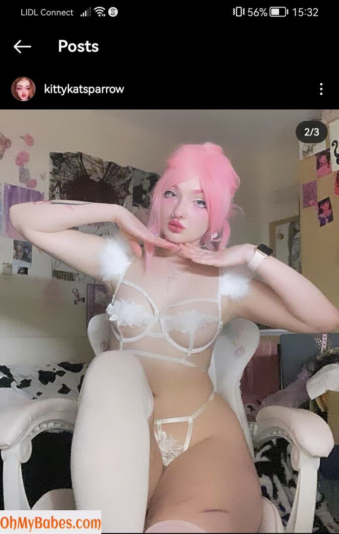 KittyKatSparrow OnlyFans leaked photo #87 - OhMyBabes