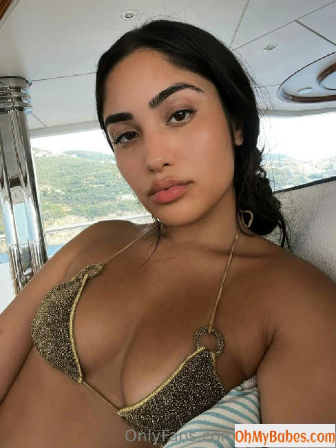 Leena Sayed OnlyFans leaked photo #4 - OhMyBabes