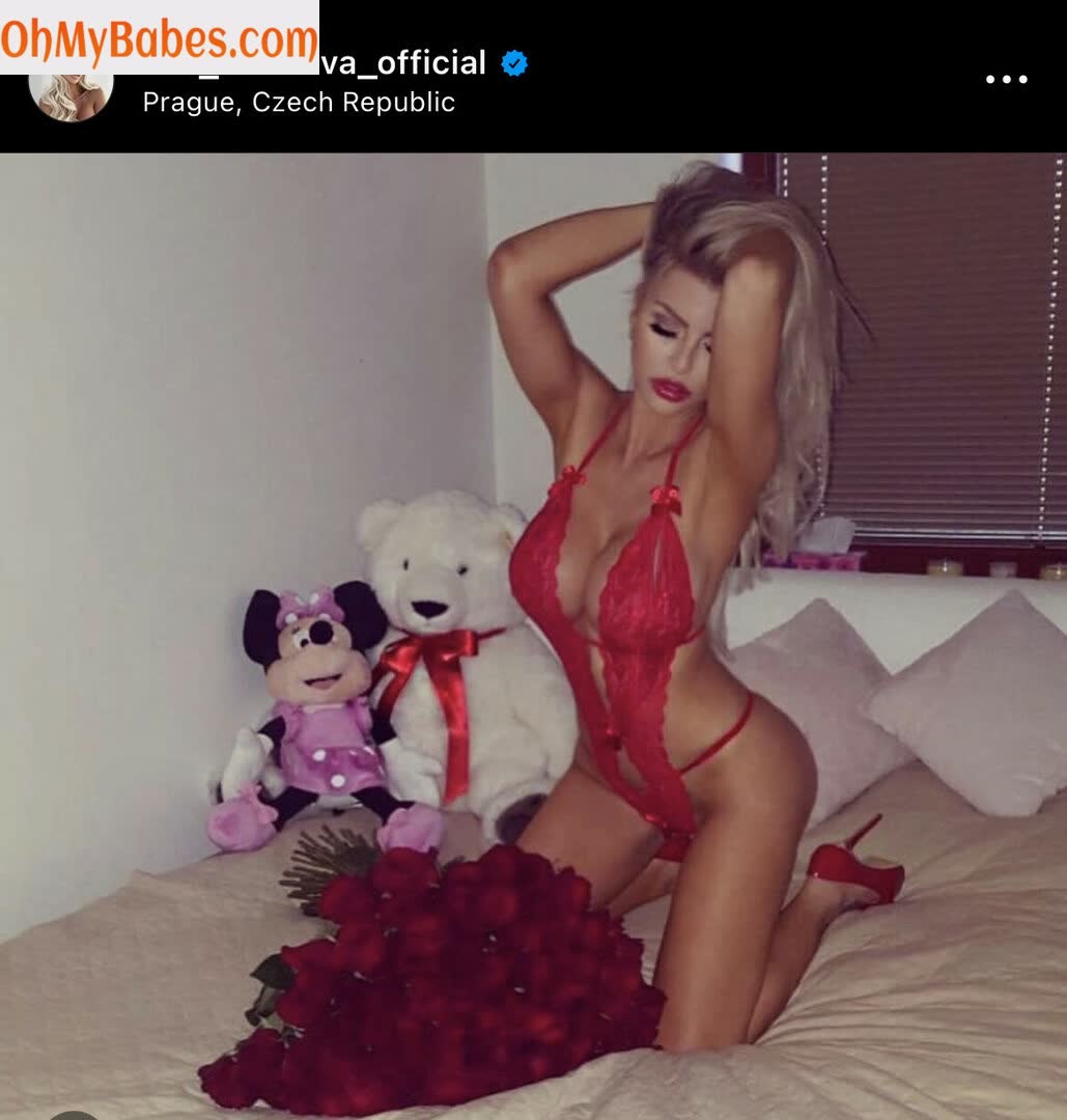 Lela Ceterova OnlyFans leaked photo #10 - OhMyBabes