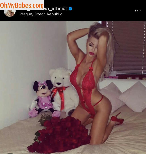 Lela Ceterova OnlyFans leaked photo #10 - OhMyBabes