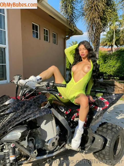 Lilveronicar OnlyFans leaked photo #122 - OhMyBabes