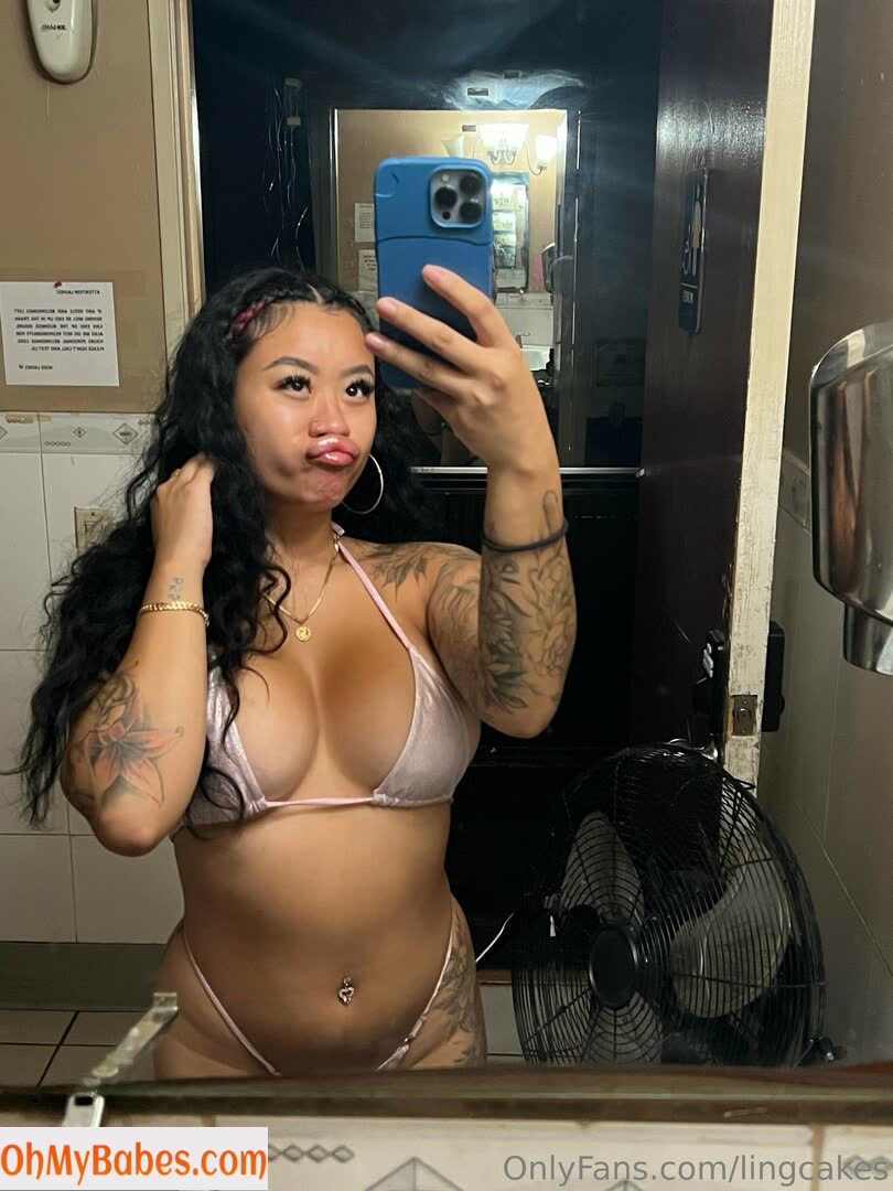 lingcakes OnlyFans leaked photo #96 - OhMyBabes