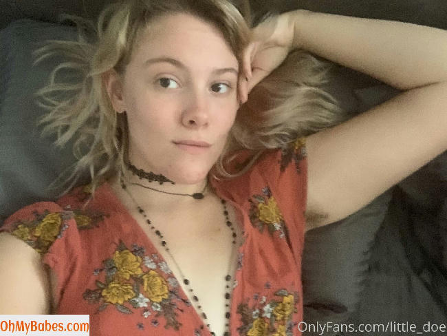 little_doe OnlyFans leaked photo #12 - OhMyBabes