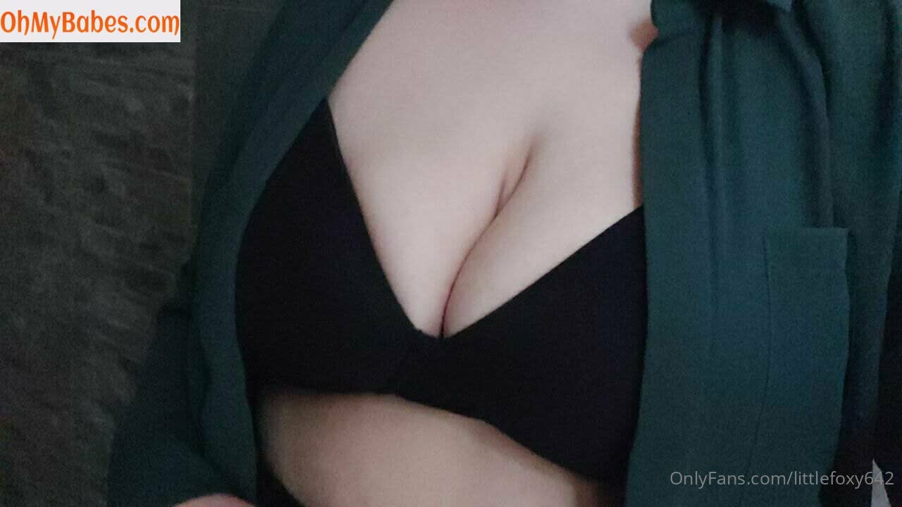 littlefoxyuwu OnlyFans leaked photo #13 - OhMyBabes