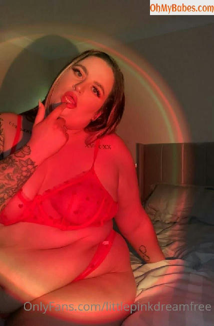 littlepinkdreamfree OnlyFans leaked photo #91 - OhMyBabes