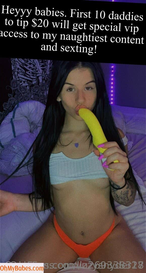 lizzysnyder18 Nude Leaked photo #199 - OhMyBabes