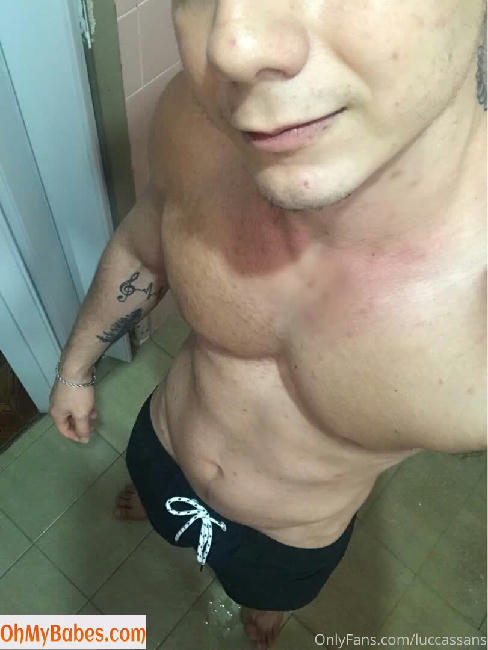 luccassans OnlyFans leaked photo #28 - OhMyBabes