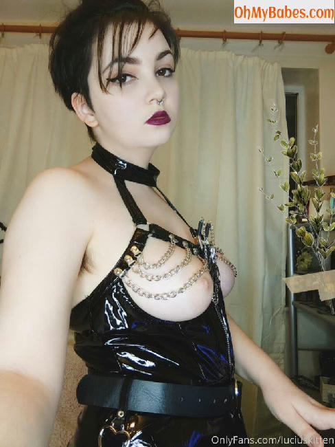 luciuskitten OnlyFans leaked photo #2 - OhMyBabes