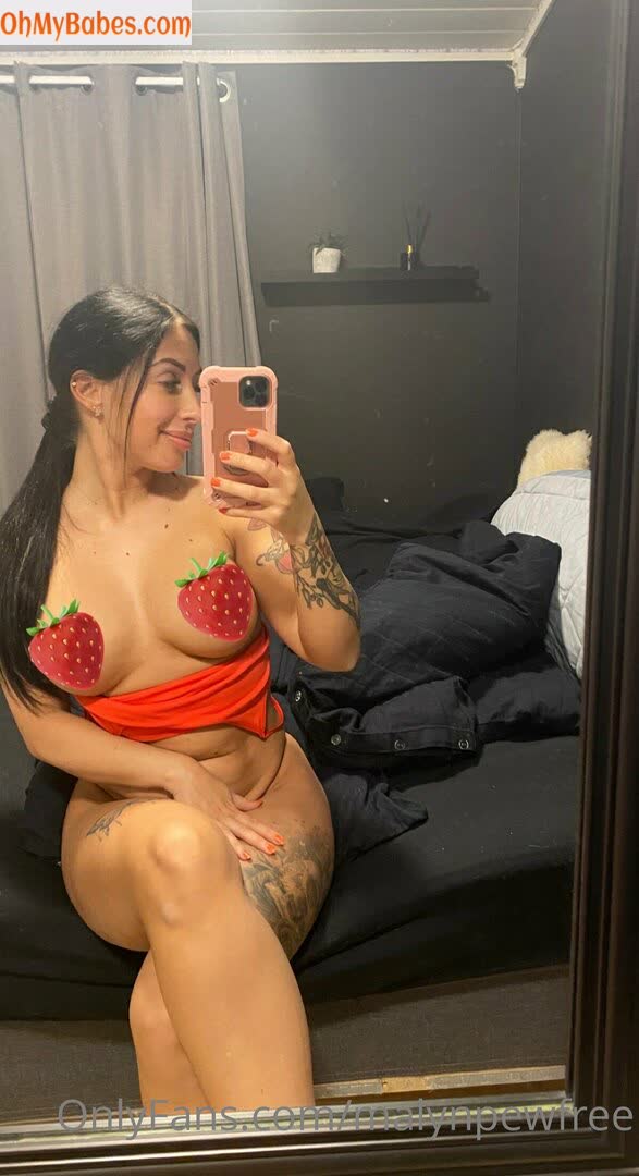 malynpewfree OnlyFans leaked photo #52 - OhMyBabes