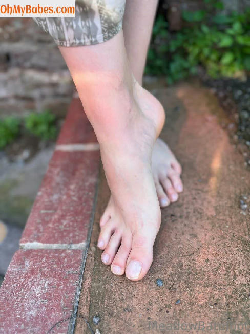 meadowbarefoot OnlyFans leaked photo #18 - OhMyBabes