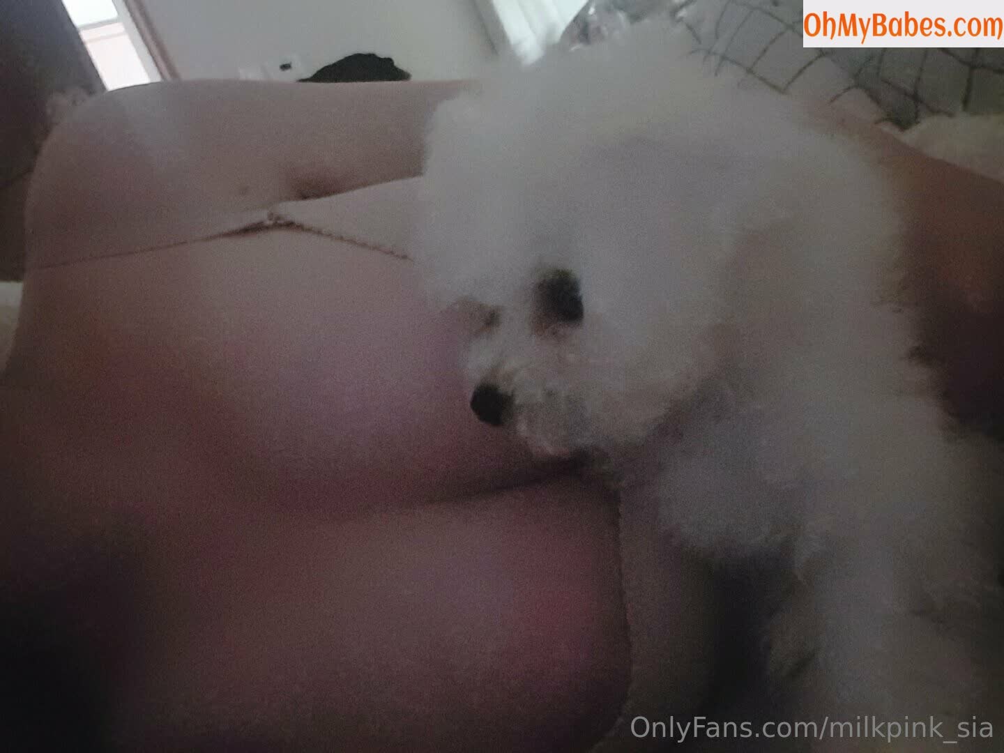 milkpink_sia Nude Leaked photo #26 - OhMyBabes