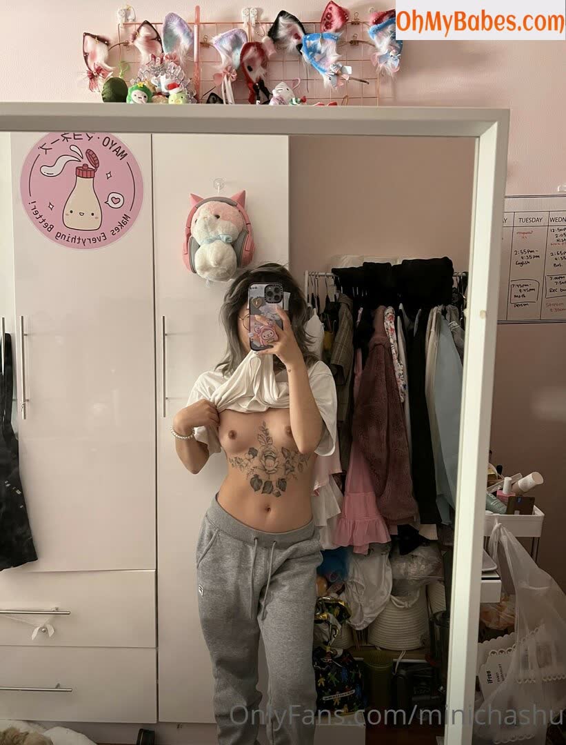 Minichashu OnlyFans leaked photo #34 - OhMyBabes