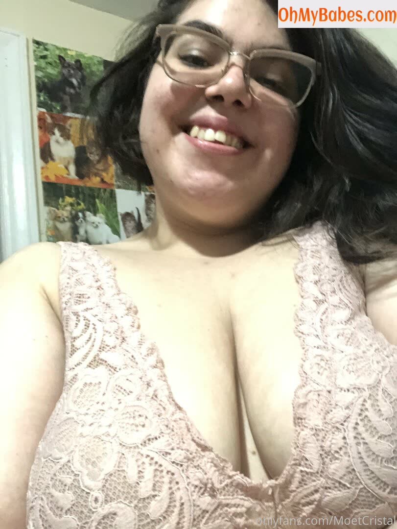 moetcristalbbw OnlyFans leaked photo #12 - OhMyBabes