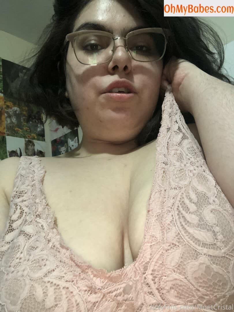 moetcristalbbw OnlyFans leaked photo #15 - OhMyBabes