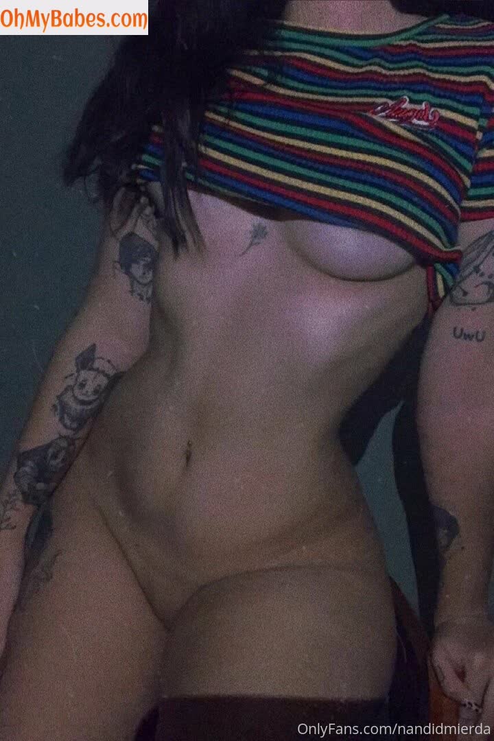 Nandidmierda OnlyFans leaked photo #1 - OhMyBabes