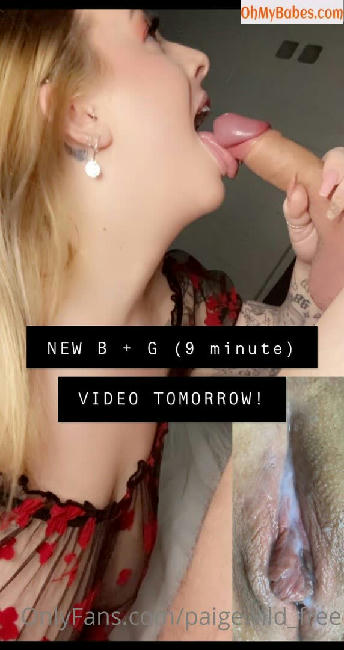 paigewild_free OnlyFans leaked photo #58 - OhMyBabes