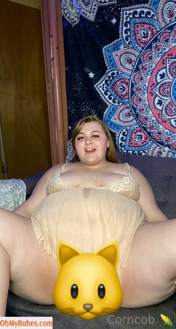 plussizebrattt2 OnlyFans leaked photo #16 - OhMyBabes