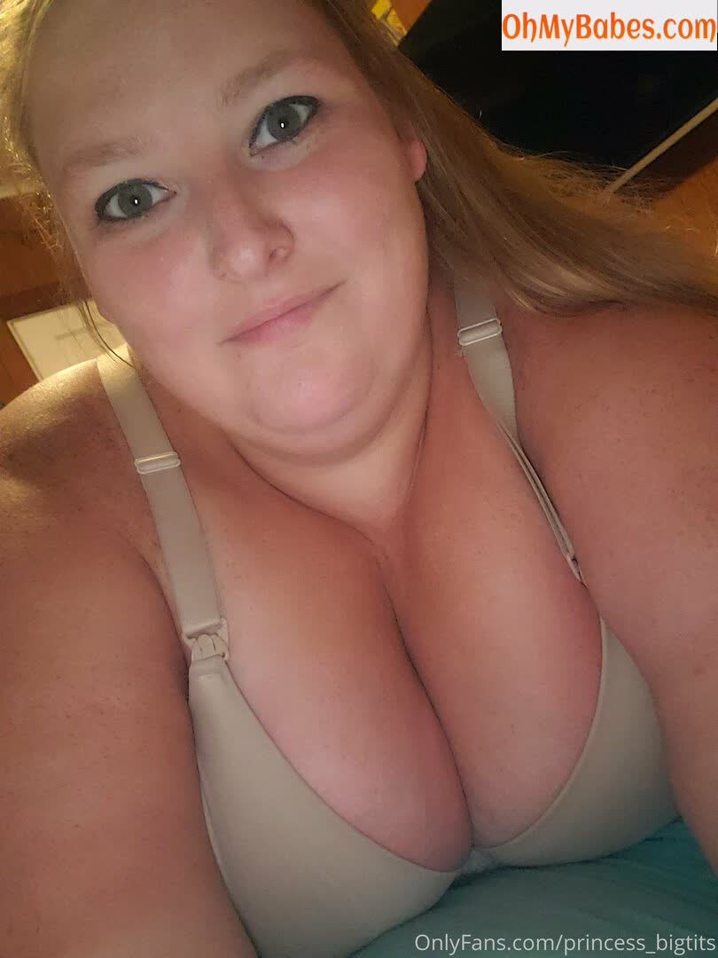 princess_bigtits Nude Leaked photo #15 - OhMyBabes