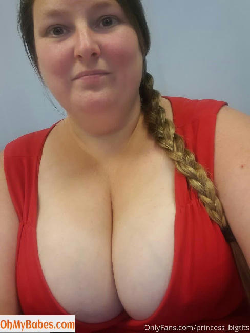 princess_bigtits Nude Leaked photo #27 - OhMyBabes