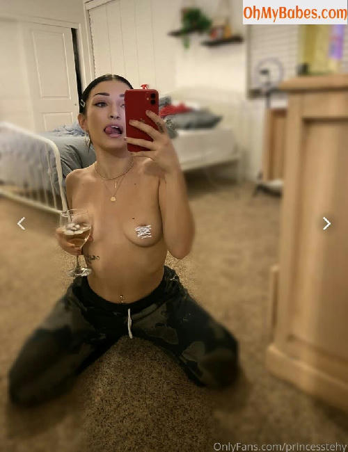 Princesstehy OnlyFans leaked photo #16 - OhMyBabes