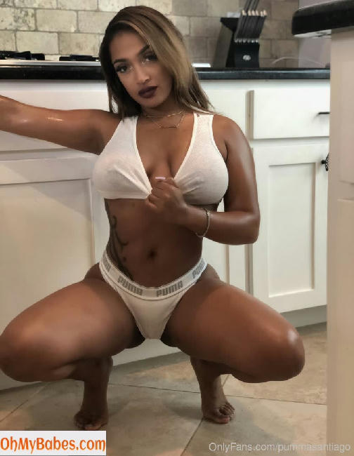 Pumma Santiago OnlyFans leaked photo #77 - OhMyBabes