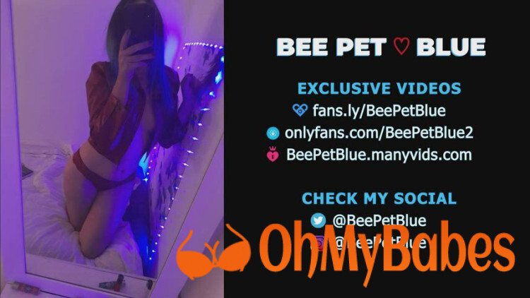 Bee Pet ♡ Blue | ONLYFANS OnlyFans leaked video #1 - OhMyBabes