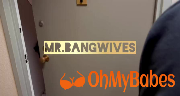 Bangwives OnlyFans leaked video #2 - OhMyBabes