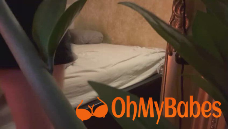 Sophia Prins OnlyFans leaked video #1 - OhMyBabes