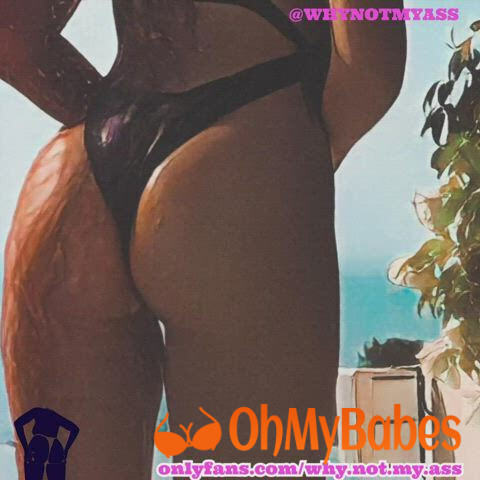 Whynotmyass OnlyFans leaked video #13 - OhMyBabes