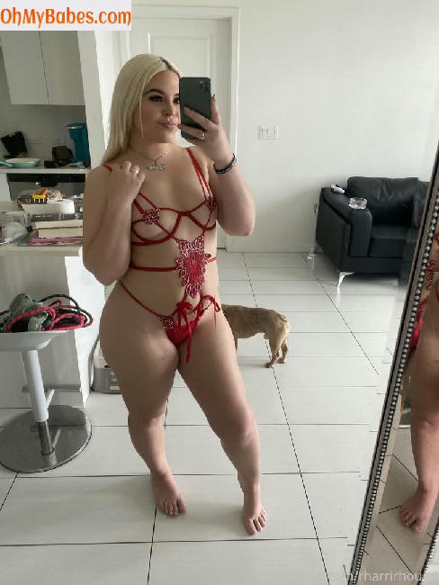 Rharrirhound OnlyFans leaked photo #15 - OhMyBabes