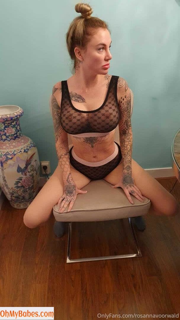 rosannavoorwald OnlyFans leaked photo #15 - OhMyBabes