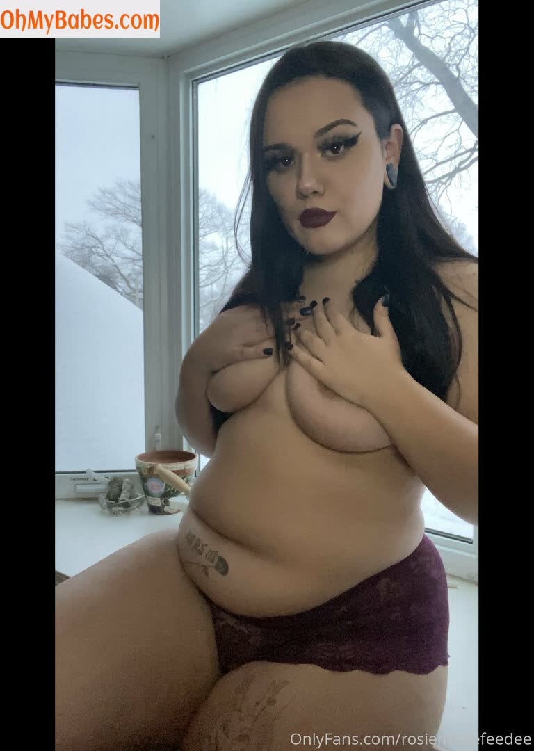 rosiemariefeedee OnlyFans leaked photo #16 - OhMyBabes