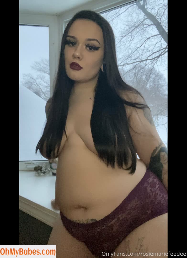 rosiemariefeedee OnlyFans leaked photo #17 - OhMyBabes