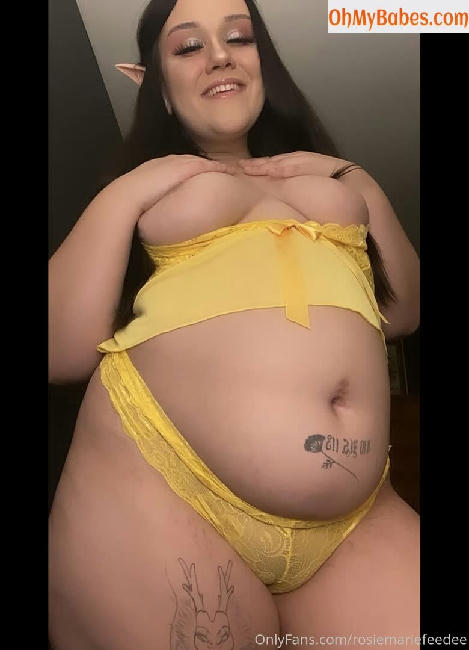 rosiemariefeedee OnlyFans leaked photo #83 - OhMyBabes