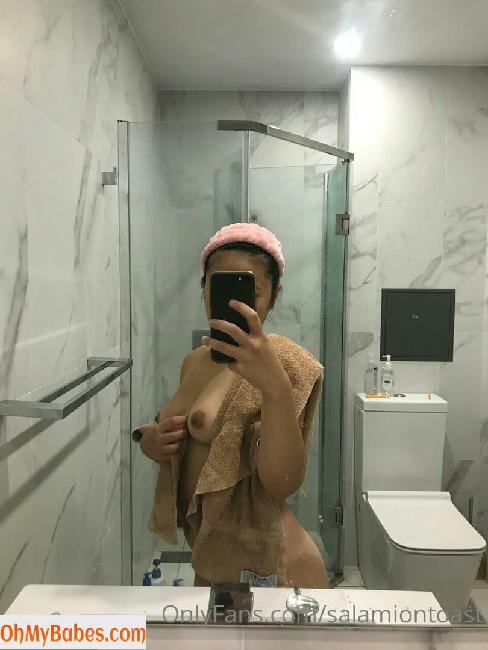 salamiontoast Nude Leaked photo #28 - OhMyBabes