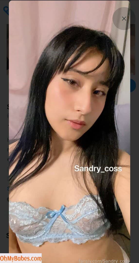 Sandry_coss OnlyFans leaked photo #5 - OhMyBabes