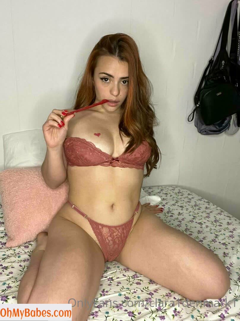 scandinaviangirlintheusa OnlyFans leaked photo #71 - OhMyBabes