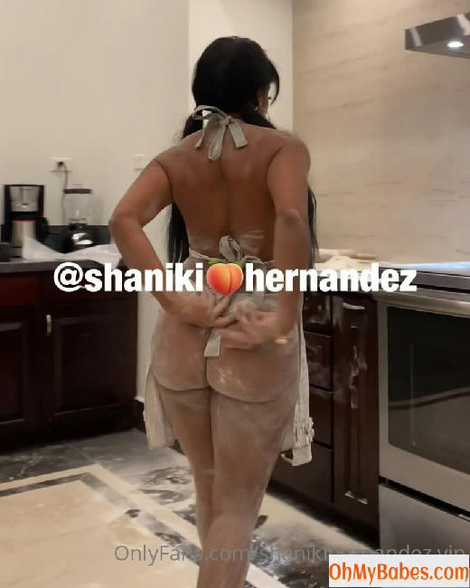 Shanikihernandez.vip Nude Leaked photo #36 - OhMyBabes