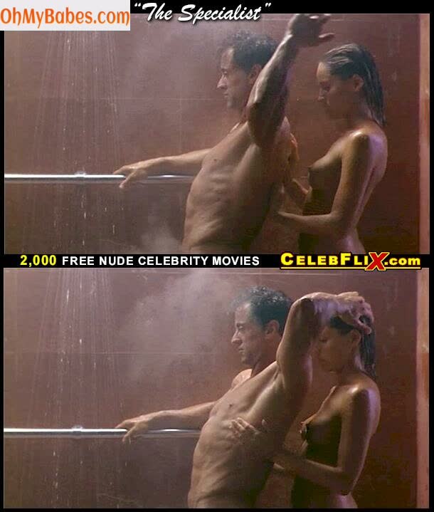 Sharon Stone Nude Leaked photo #14 - OhMyBabes